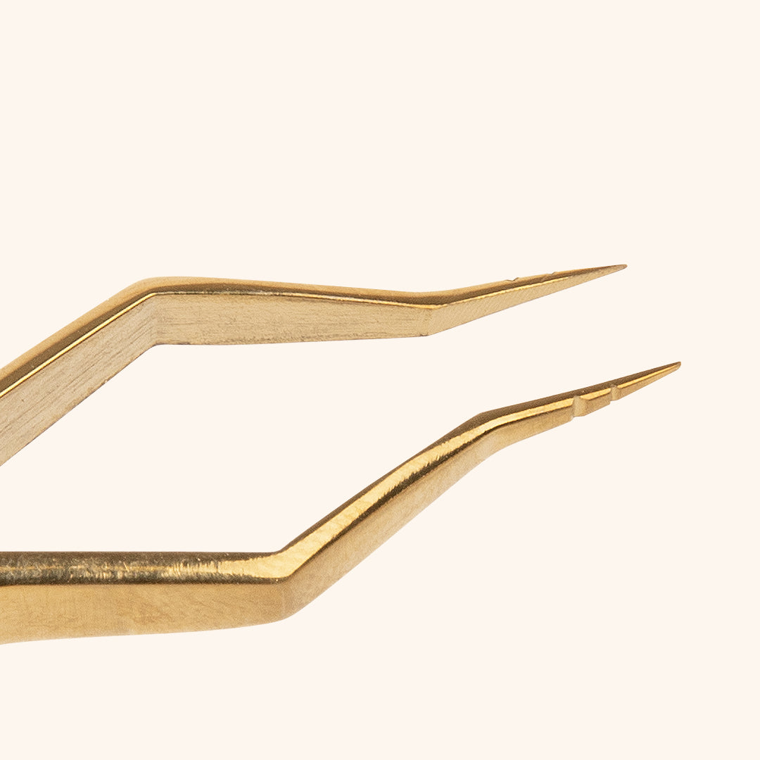 tip of the gold colour isolation tweezers tor eyelash extensions