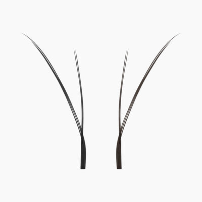 Studio close-up of two individual black Kitten Lash extension fans isolated on a white background showing their fine tip structure.
